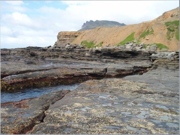 Fossil Cliffs